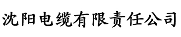 亚洲精品国产二区三区在线电缆厂logo